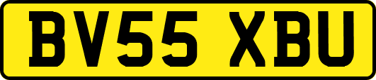 BV55XBU