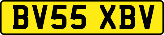BV55XBV