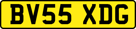 BV55XDG