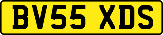 BV55XDS