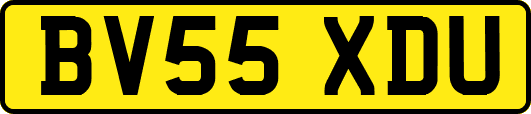 BV55XDU