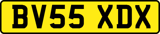 BV55XDX