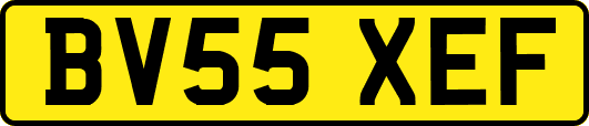 BV55XEF