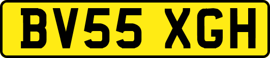 BV55XGH