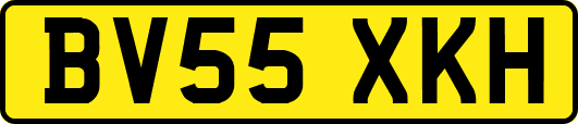 BV55XKH