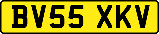 BV55XKV