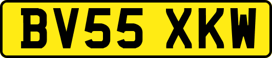 BV55XKW