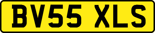 BV55XLS