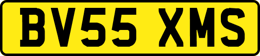 BV55XMS
