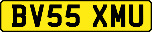 BV55XMU