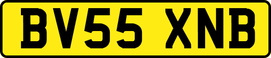 BV55XNB