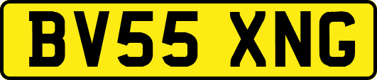 BV55XNG