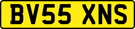 BV55XNS