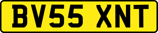 BV55XNT