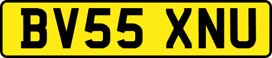 BV55XNU