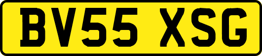 BV55XSG