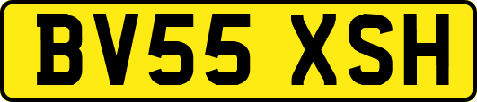 BV55XSH