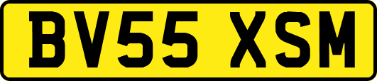 BV55XSM
