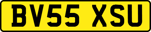 BV55XSU