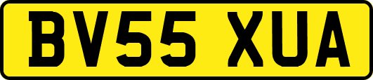 BV55XUA