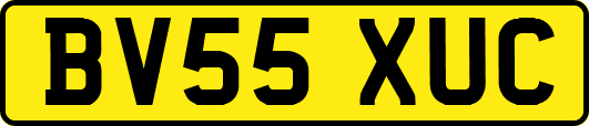 BV55XUC
