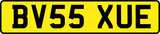 BV55XUE