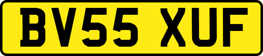 BV55XUF