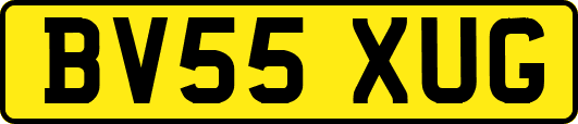 BV55XUG