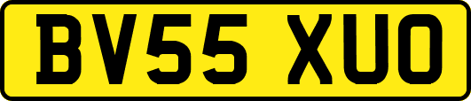 BV55XUO