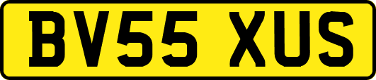 BV55XUS