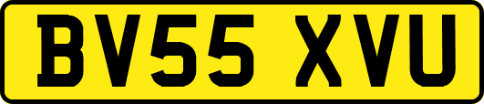 BV55XVU