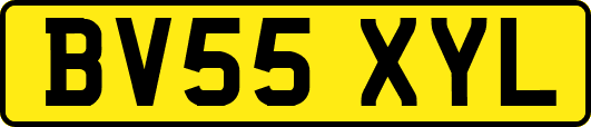 BV55XYL
