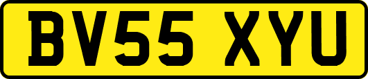 BV55XYU