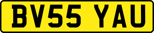 BV55YAU
