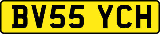 BV55YCH