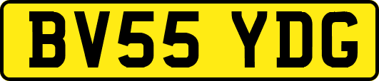 BV55YDG