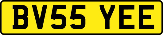 BV55YEE
