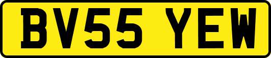 BV55YEW