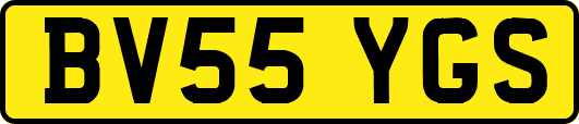 BV55YGS