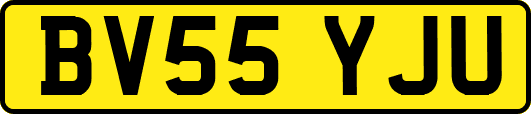 BV55YJU