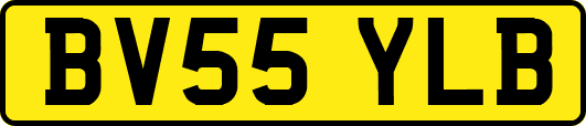 BV55YLB
