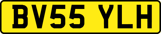 BV55YLH
