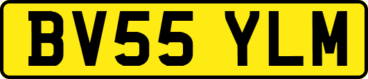BV55YLM