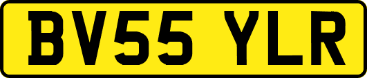 BV55YLR