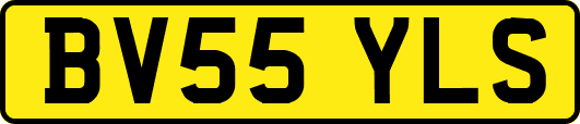 BV55YLS