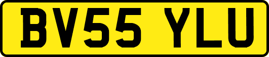 BV55YLU