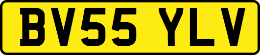 BV55YLV