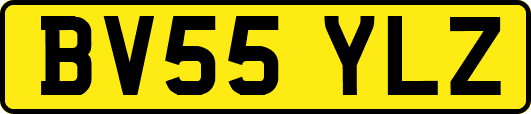 BV55YLZ