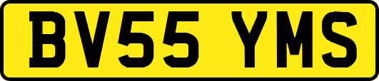 BV55YMS