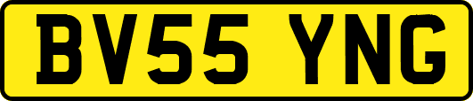 BV55YNG